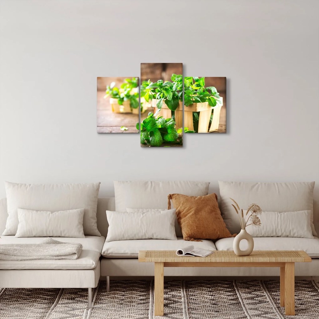 Friss menta képe (90x60 cm)