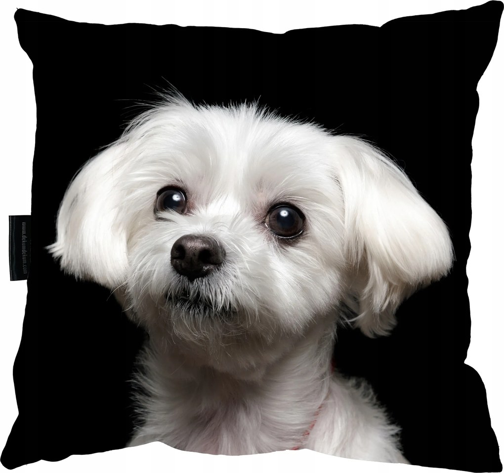 Máltai Kutyapárna 40x40 Tökéletes Ajándék