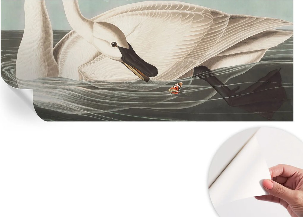 Öntapadós tapéta Divatos 3D fali ragasztóval A természet harmóniája 250x104 cm