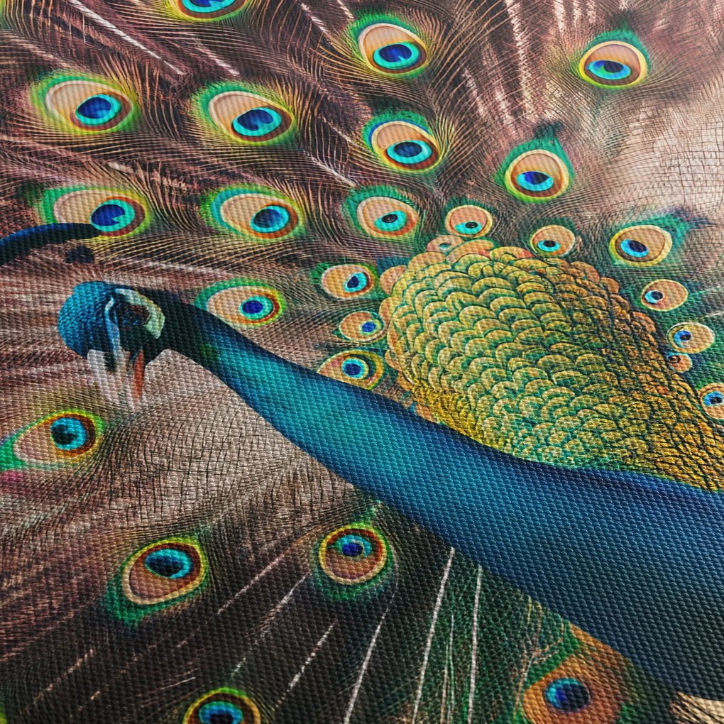 Kép - Páva (150x105 cm)