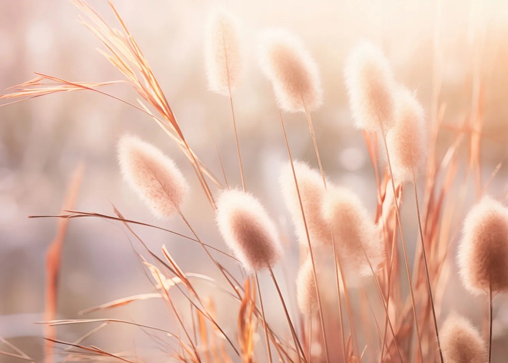 Poszter 70x50cm Napvirágok