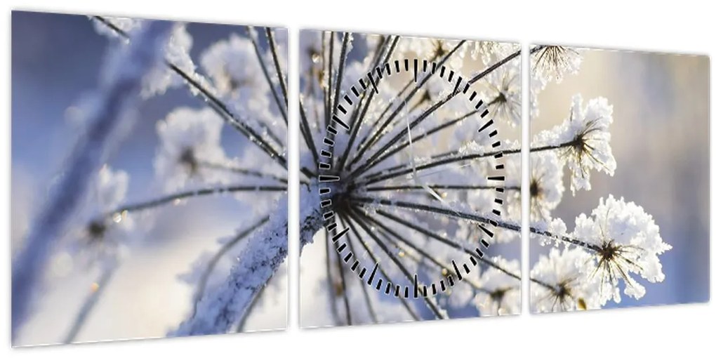 Kép - Fagyott virág (órával) (90x30 cm)