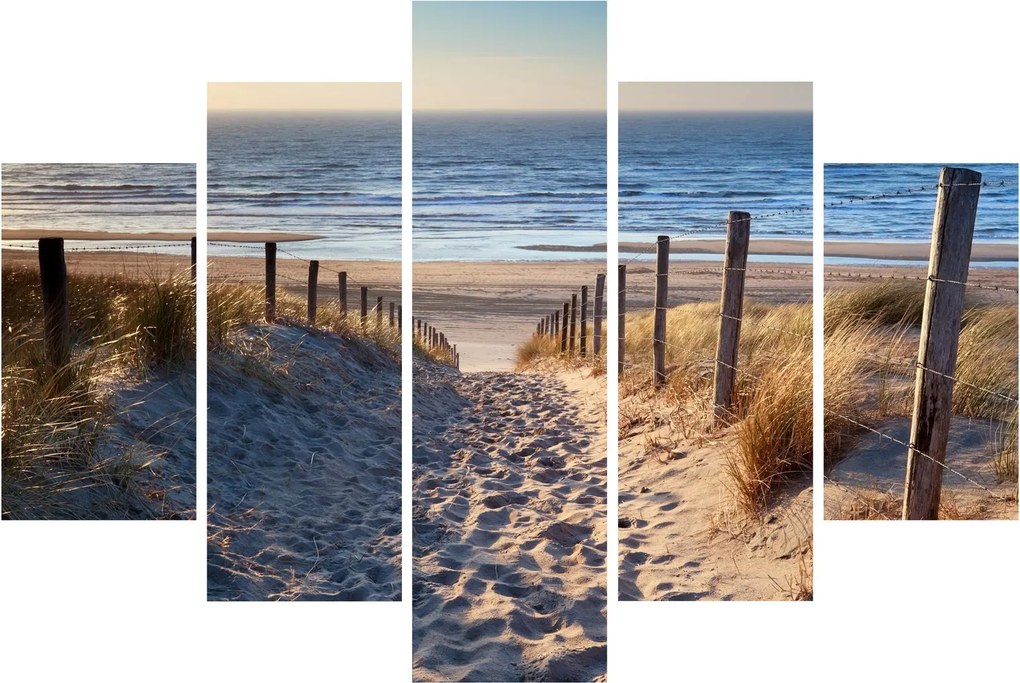 Kép - Út az északi-tengeri strandra, Hollandia (150x105 cm)