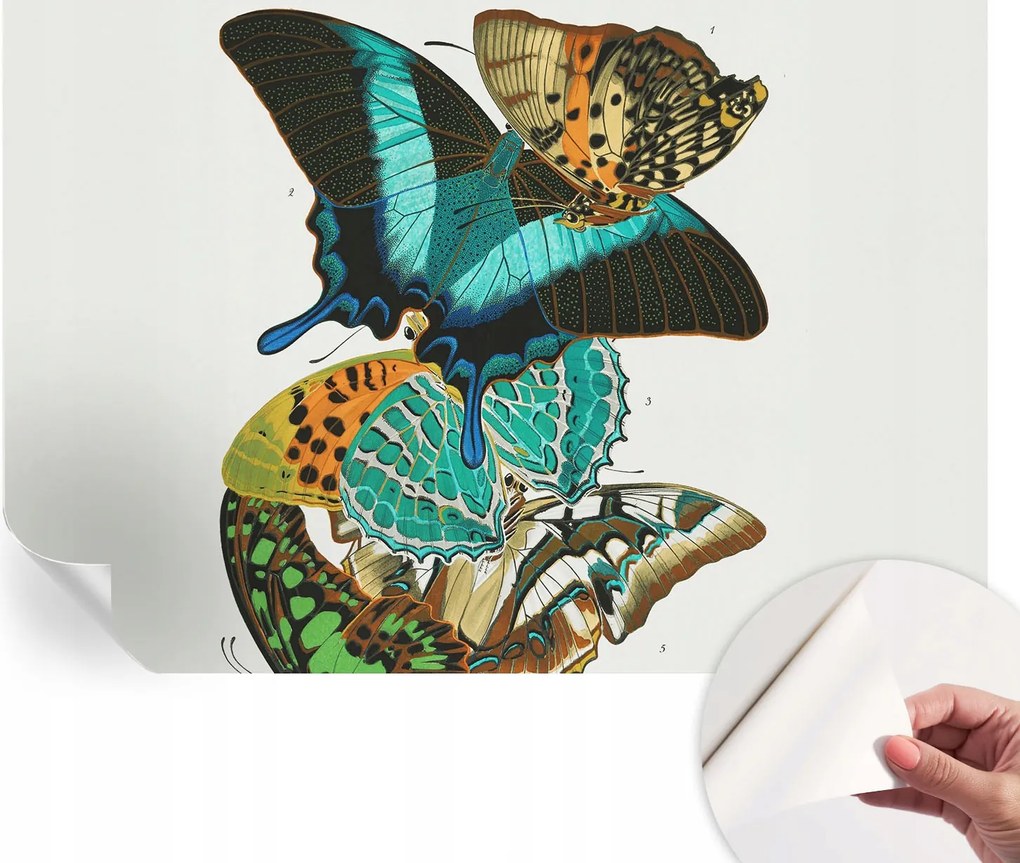 Modern öntapadós fali fotótapéta Színes pillangók 152x104 cm