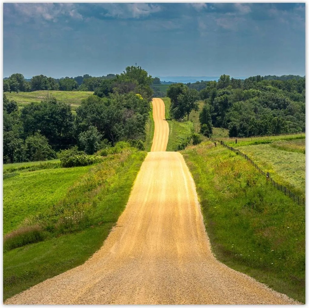 Poszterek 70x70 Út Rét Mező Erdő