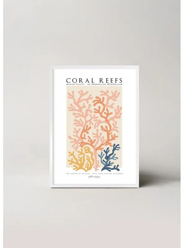 Magic of Coral Reefs kép