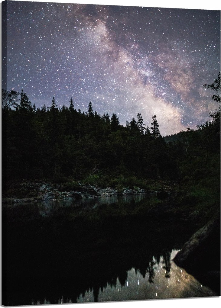 Vászonkép Kozmosz Ég a tóparton 50x70