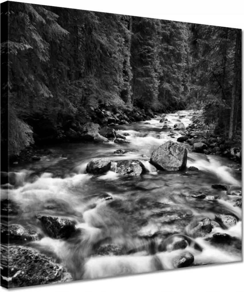 Vászonkép 30x30 Tátra Lengyel hegyek Kilátás