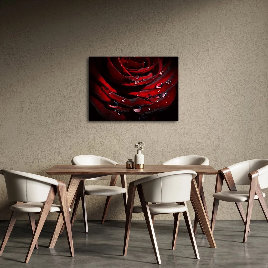 Kép - Rózsa részlete (70x50 cm)