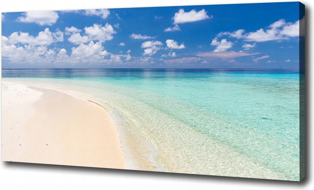Vászonkép Tengerpart a Maldív-szigeteken 100x70cm