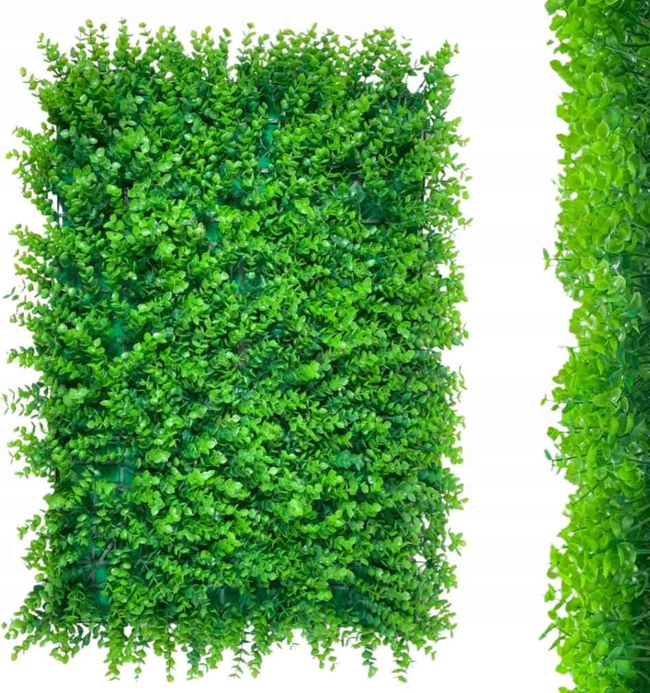 Zöld fal Növényi panel Eukaliptusz Vertikális kert Sövény szőnyeg