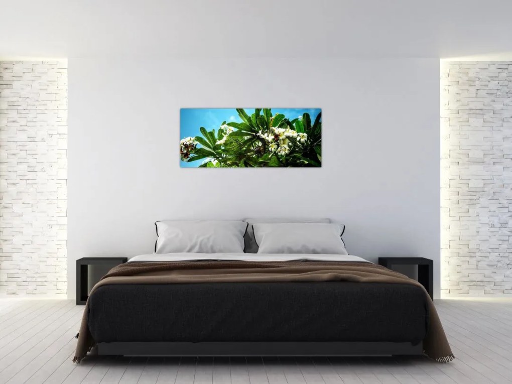 Kép - Plumeria (120x50 cm)