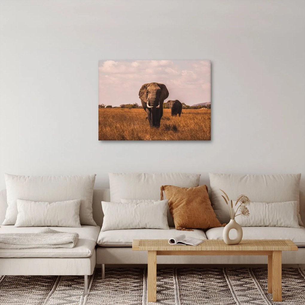 Kép - Az elefánt érkezése (70x50 cm)