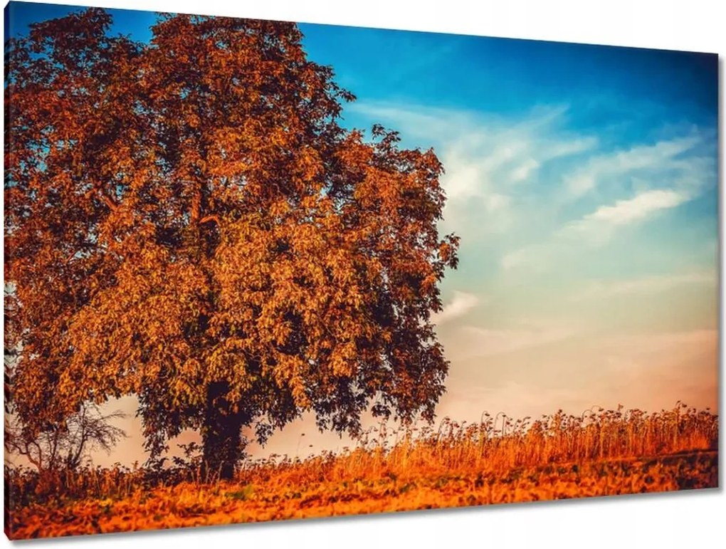 Festmények 120x80 Jessiene színek Tájkép