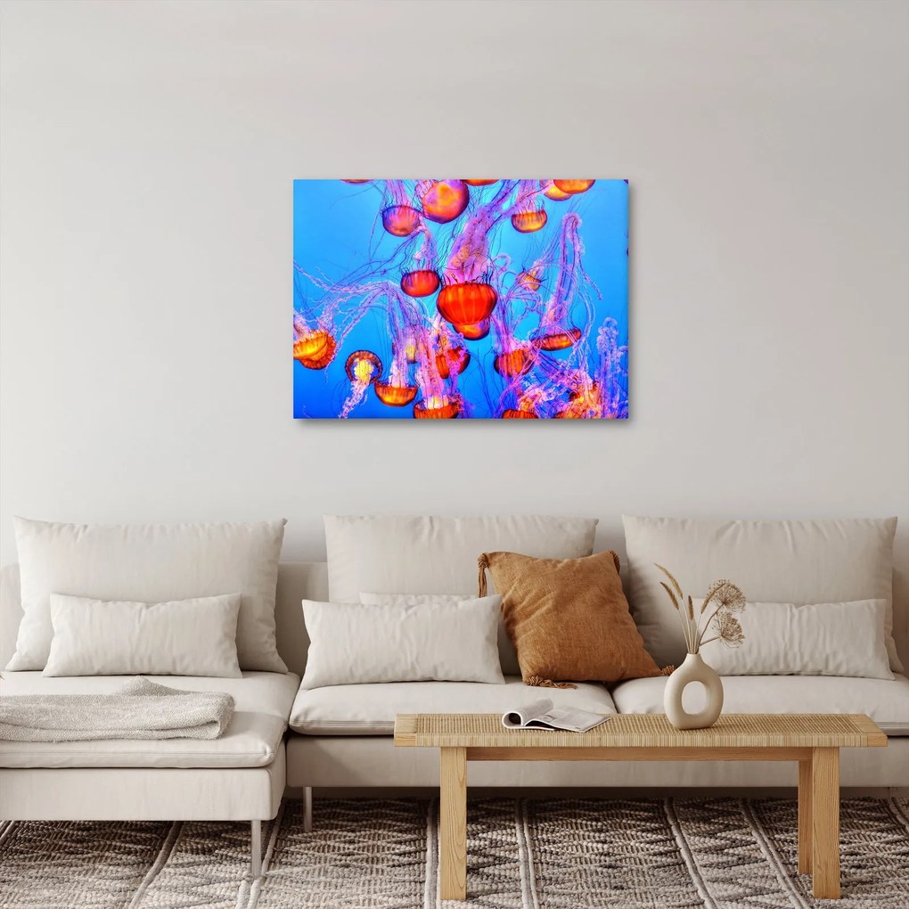 Medúza a tengerben képe (70x50 cm)