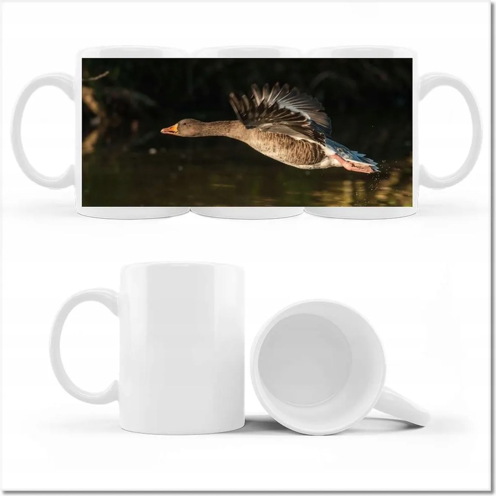 Fotó bögre Kacsa repülés közben