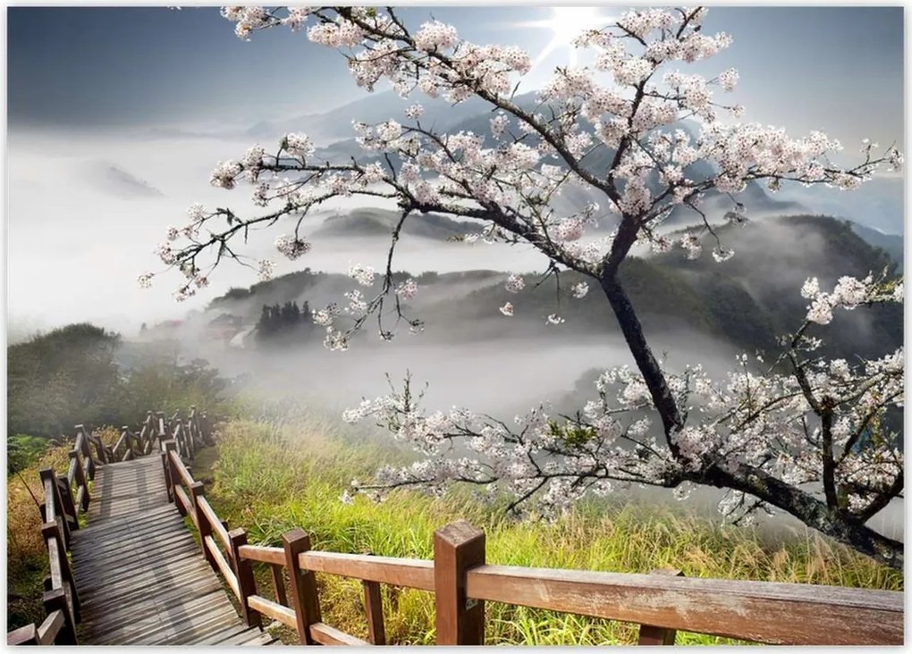 Poszterek 70x50 Japán Virágzó cseresznye