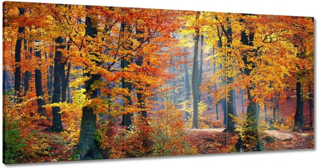 Festmények 120x60 Arany ősz