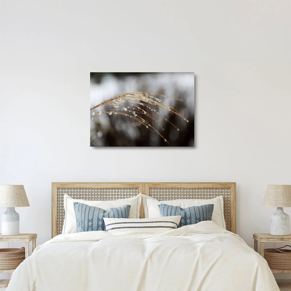 Cseppkép egy növényen (üvegen) (70x50 cm)