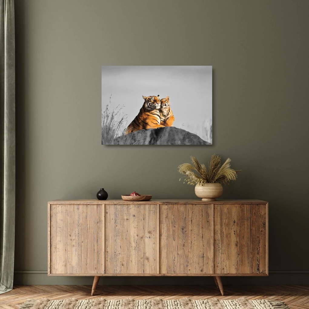 Kép - Tigris és a kölyke, fekete-fehér változat (üvegen) (70x50 cm)