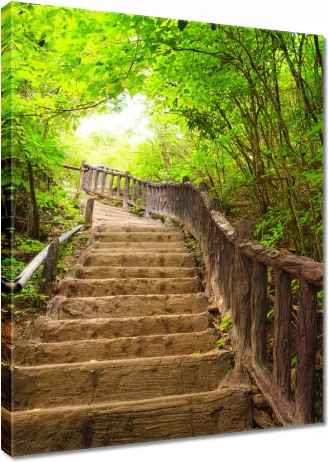 Vászonkép 30x40 Lépcsők az erdőbe