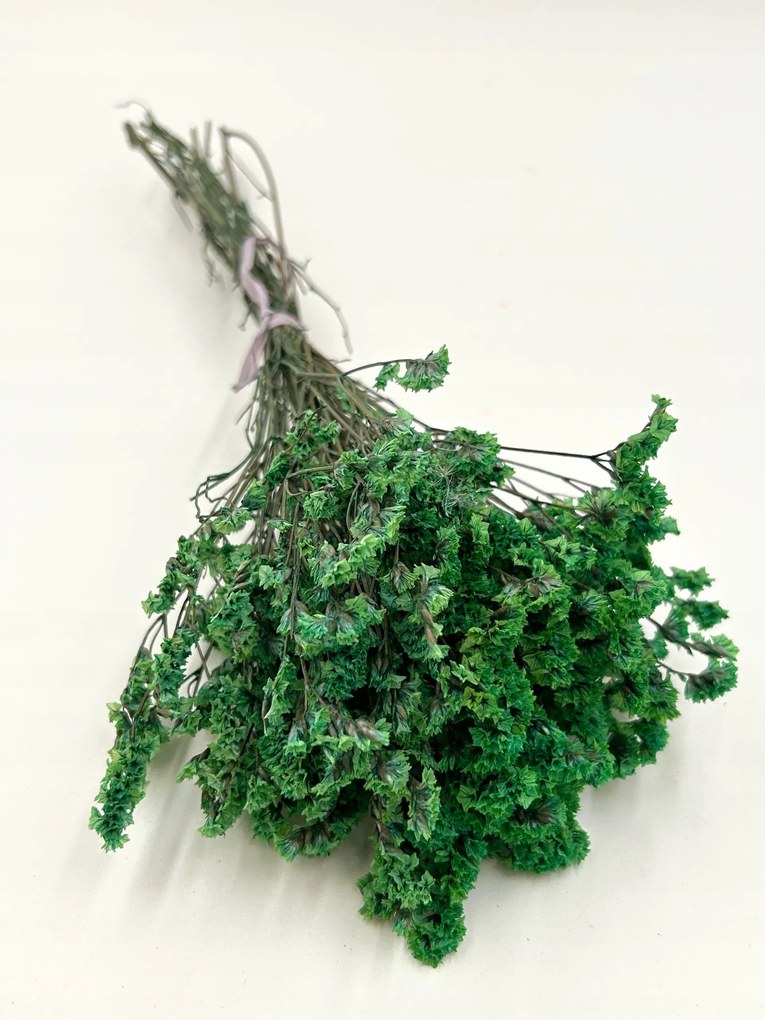 Limonium Zöld stabilizált, stabilizált virágok, virágok vázába