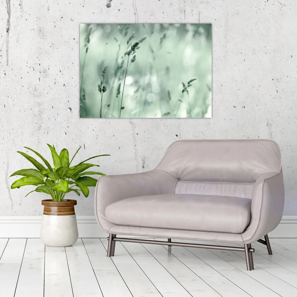 Kép - Zöld rét (70x50 cm)