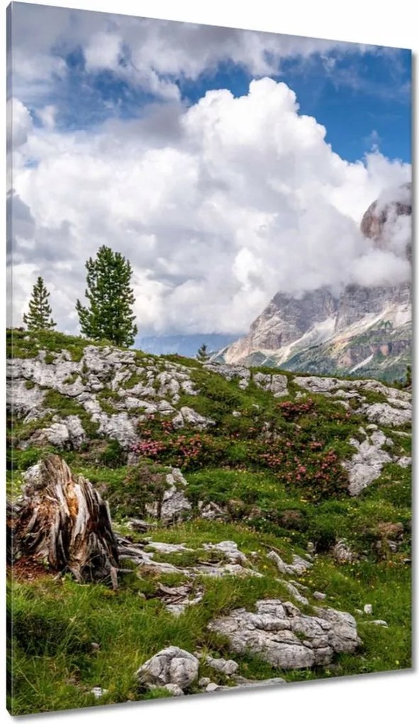 Vászonkép 80x120 Hegyi kilátás Tájkép