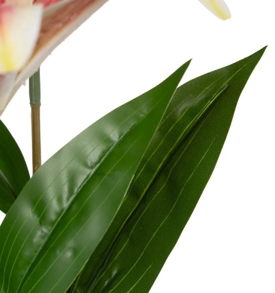 Művirág (magasság 58 cm) Lily – Ixia
