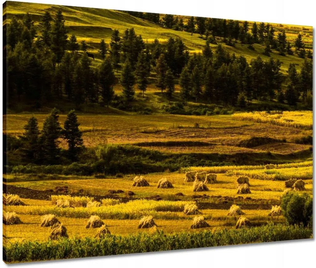 Vászonkép 80x60 Tájkép Látvány