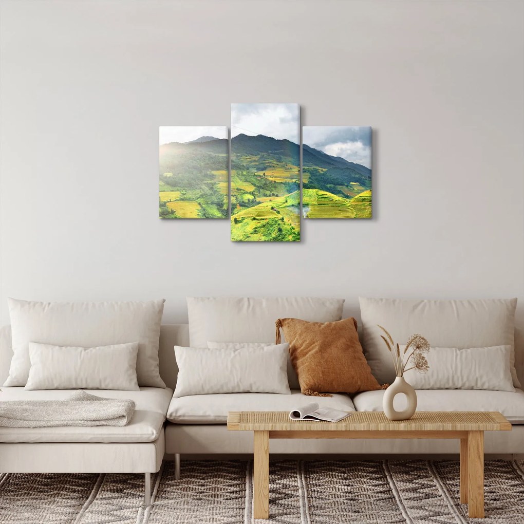 Ültetvények képe (90x60 cm)