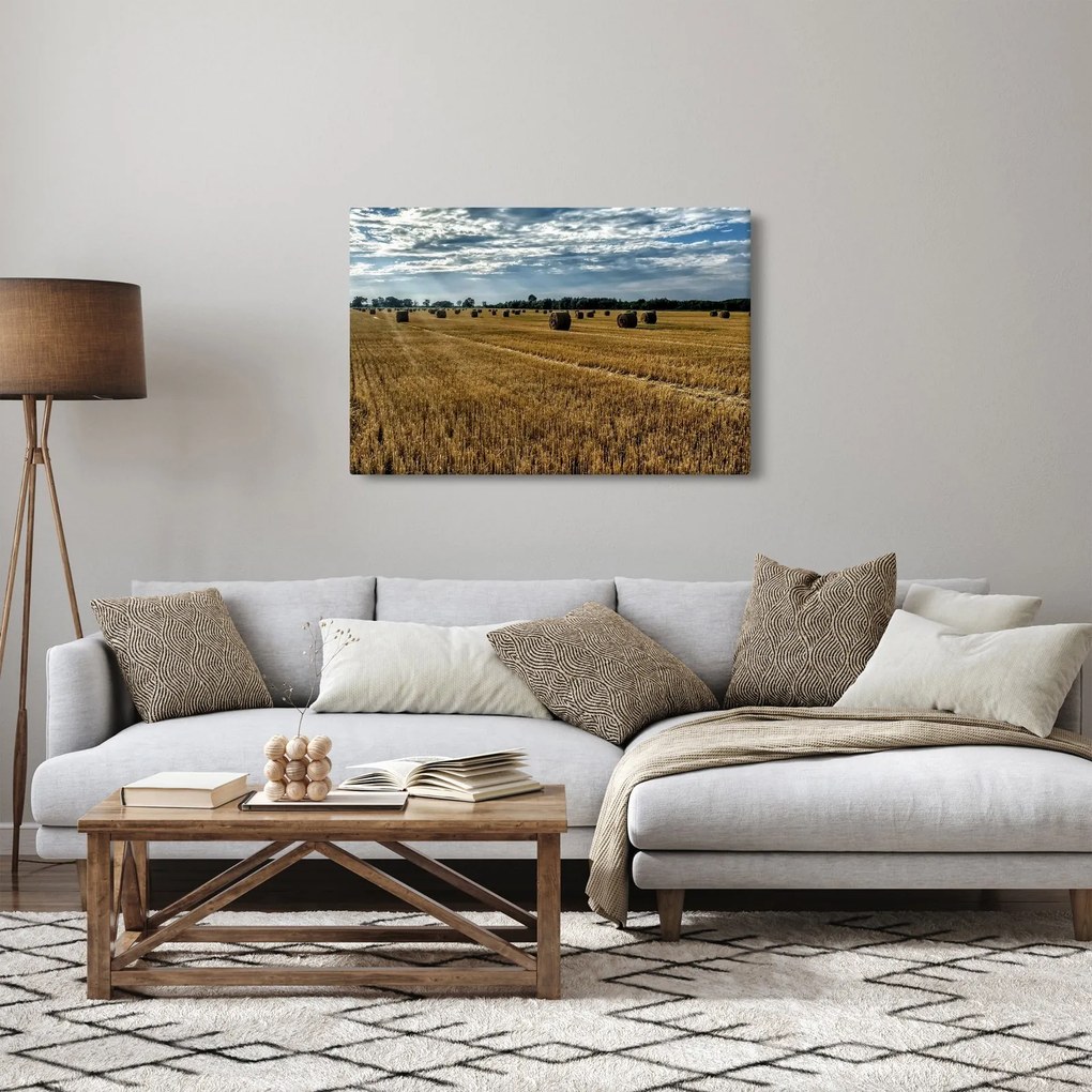 Betakarított gabona mező képe (90x60 cm)