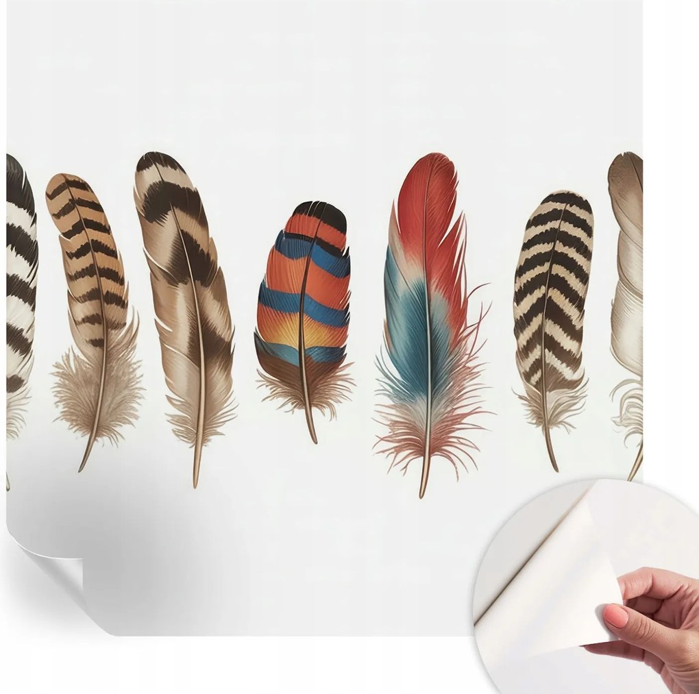 Öntapadós tapéta Divatos 3D fali ragasztóval Színes tollak 250x250 cm