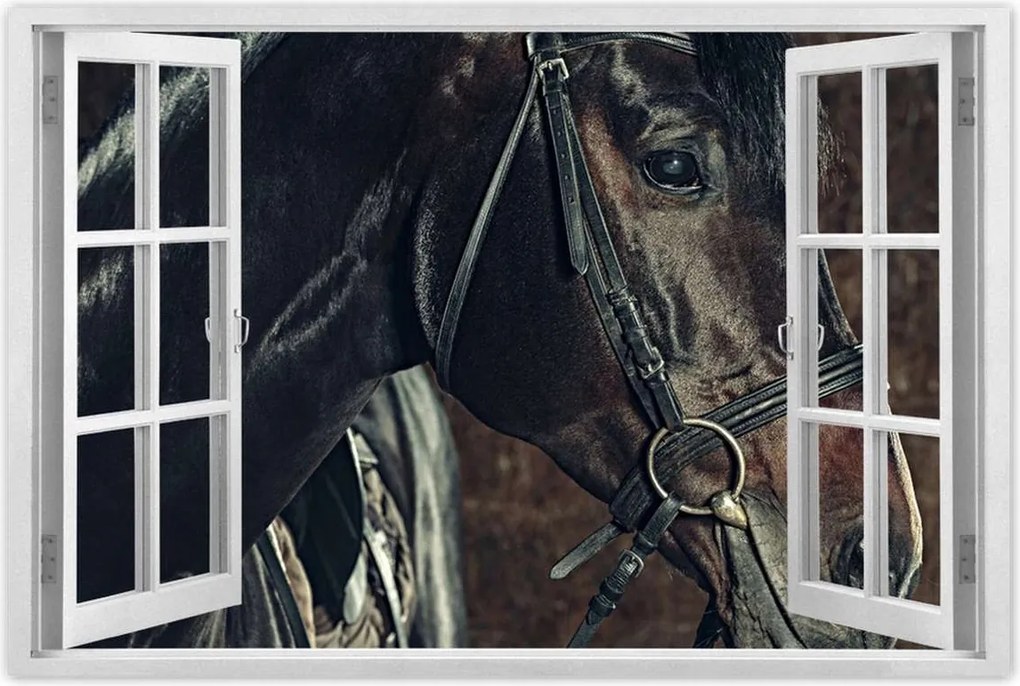 Poszter 60x40 Lófej