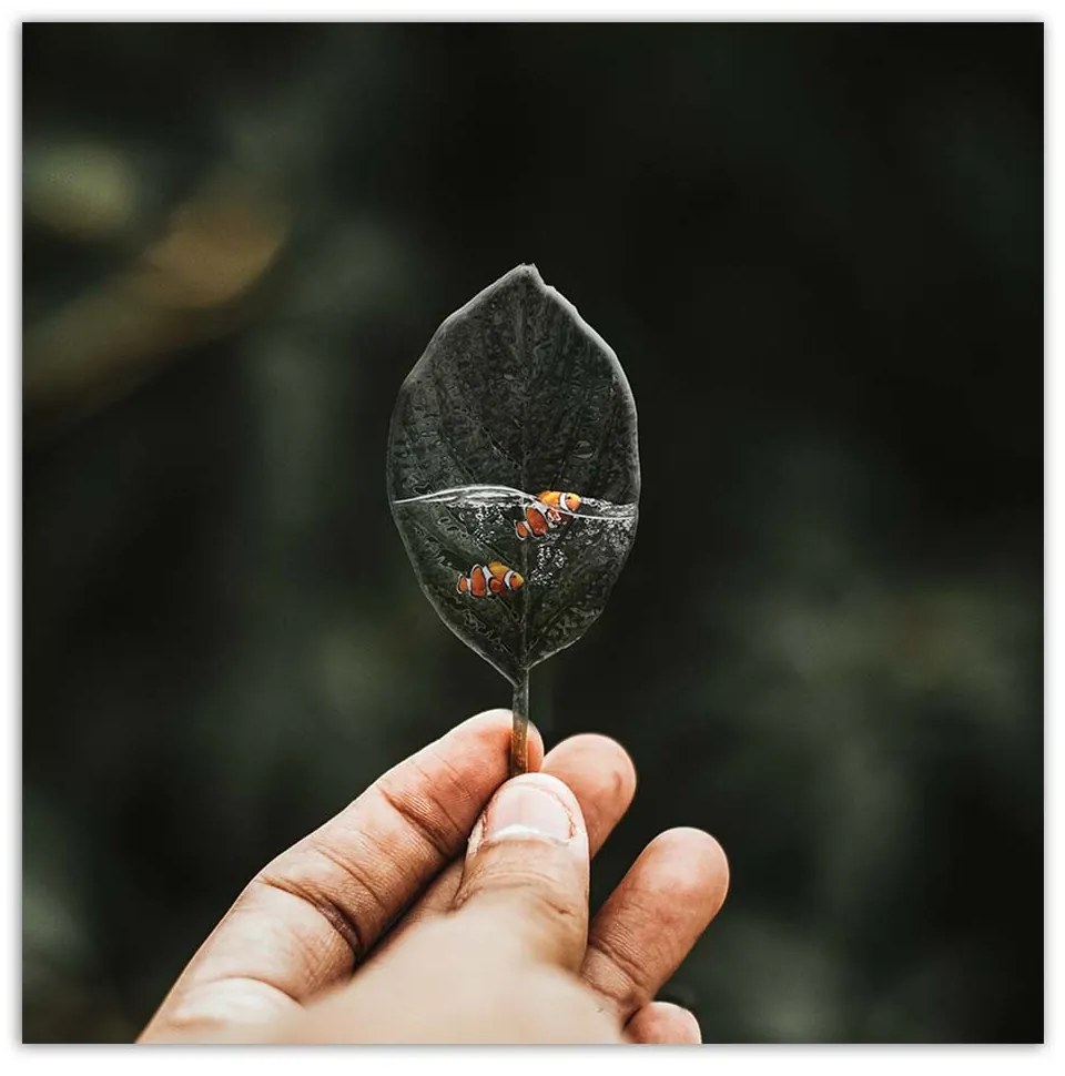 Gario Vászonkép Mini akvárium - Zehem Chong Méret: 50 x 50 cm