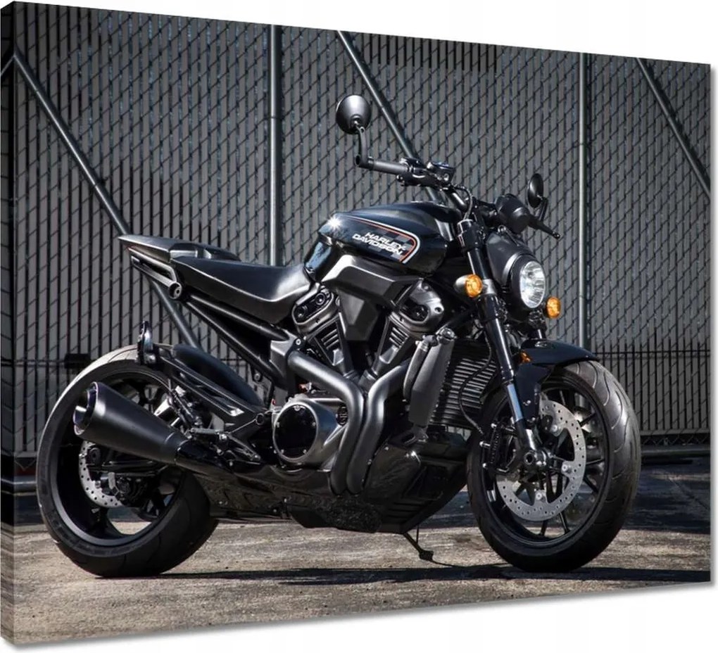 Vászonkép 50x40 Harley Davidson Motorkerékpár