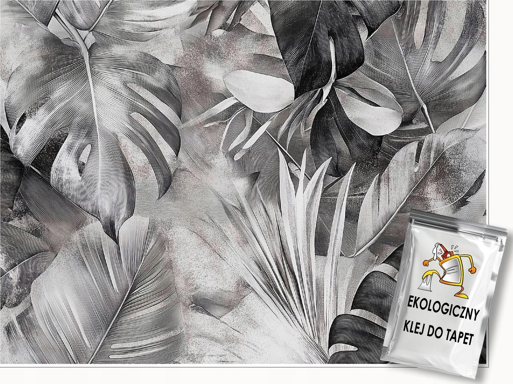 Fotótapéta Monster Levelek Fekete-fehér Falra Hálószoba Nappali 300x210