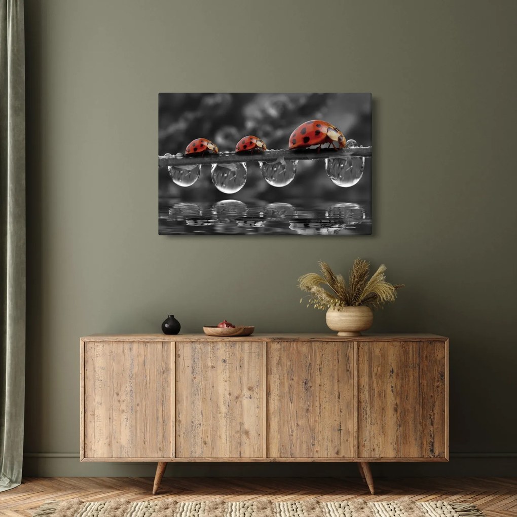 Kép - Napraforgó, fekete-fehér (90x60 cm)