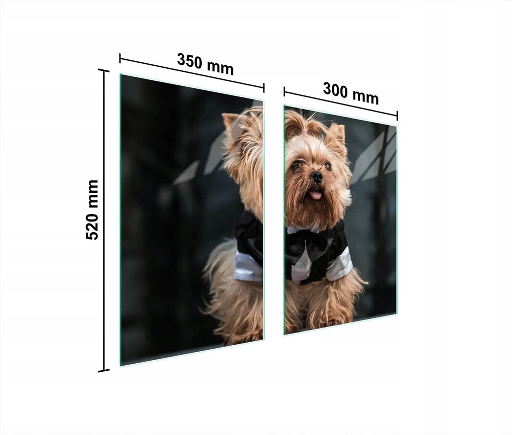 Üveg Konyhai Védőlap 65x52 Kutya