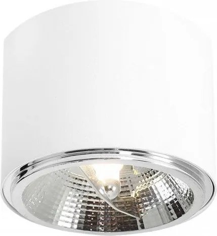 ALDEX 1046PL_G BOT Hengeres Mennyezeti Lámpa Fehér GU10/ES111 IP20