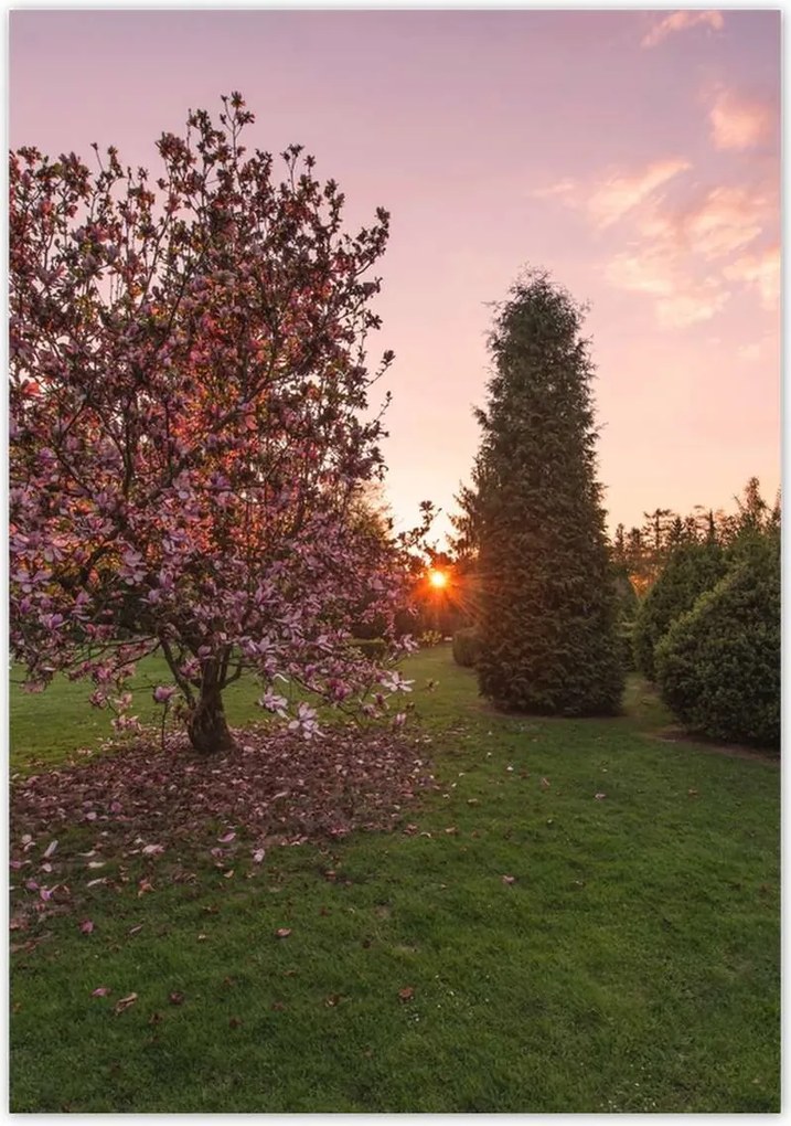 Poszterek 70x100 Kilátás Tájkép