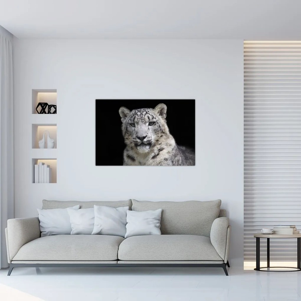 Kép - Snow Leopard (90x60 cm)