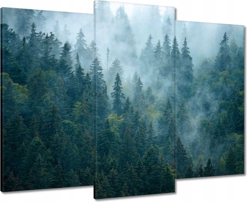 Vászonkép 90x70 Erdő a ködben Utazás