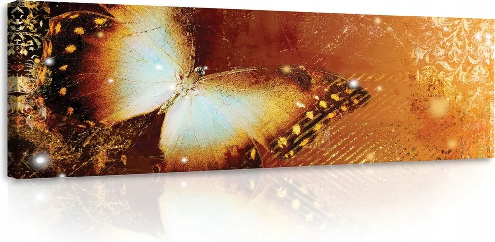 Vászonkép 145x45 Pillangó szárnyak repülés átalakulás nyár természet fény ragyogás