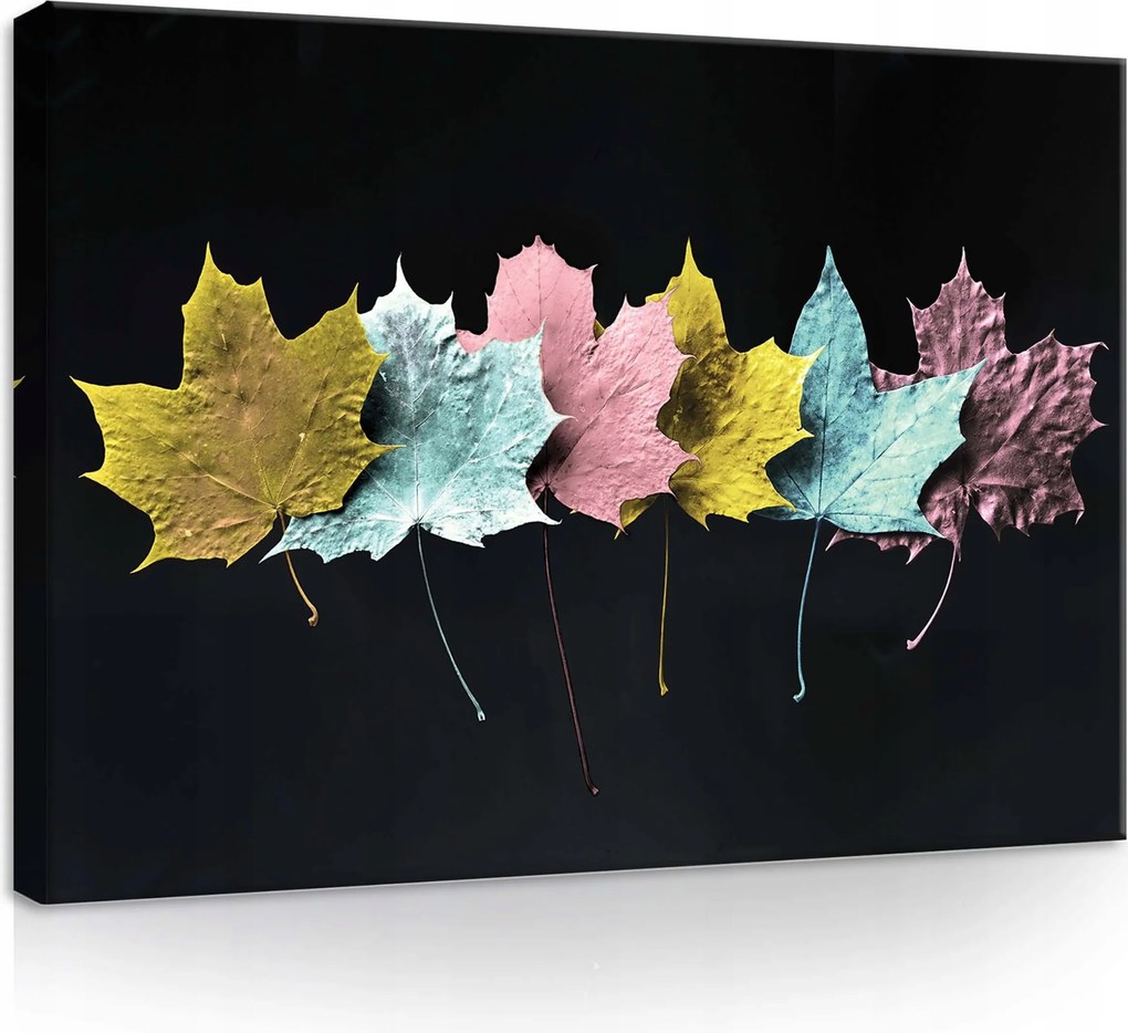 Vászonkép 70x50 Juharfa levelek sötét háttér fém ősz elegancia kontraszt művészet