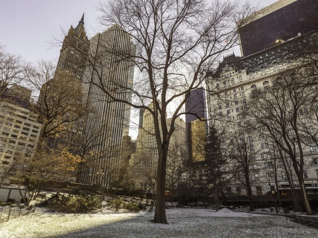 Poszter 40x30cm Központi park panorámával Alsó-Manhattan 2, Assaf Frank