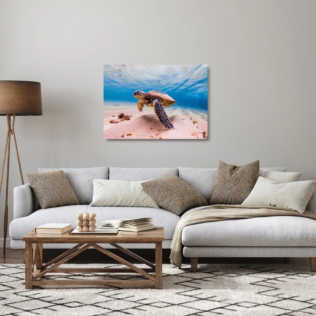 Teknős képe az óceánban (üvegen) (70x50 cm)