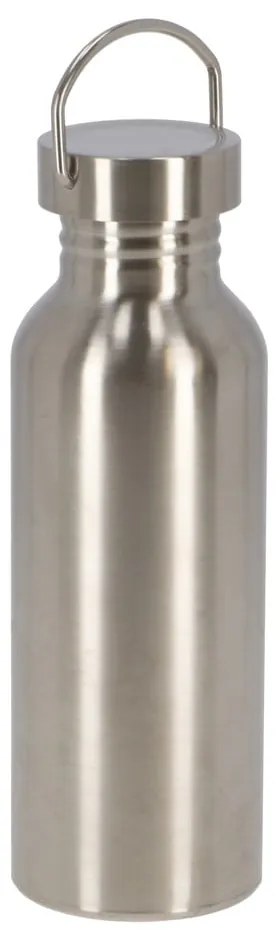 Ezüstszínű rozsdamentes acél ivópalack 650 ml – Esschert Design