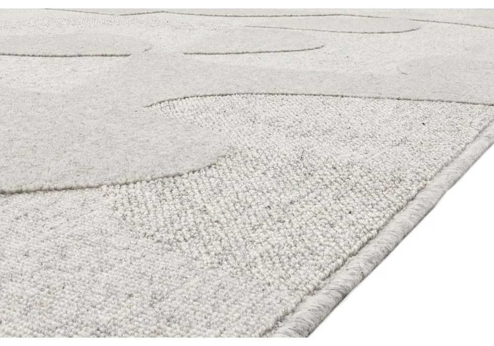 Világosszürke gyapjú szőnyeg 200x300 cm Morphic Botanica – Agnella