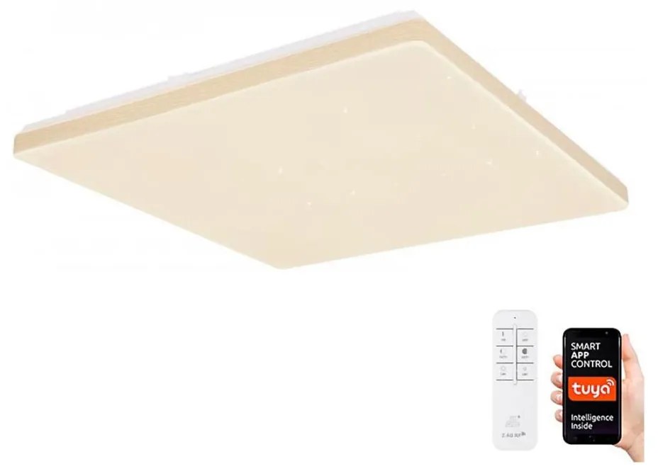 Globo 48025WSH - LED Dimmelhető mennyezeti lámpa LED/24W/230V Wi-Fi Tuya + távirányító